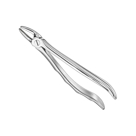 Extracting forceps, anat.